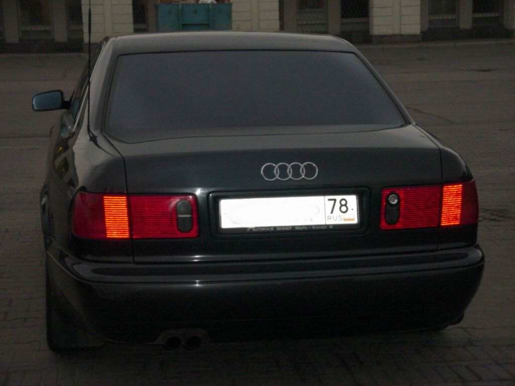 DSC01393.jpg