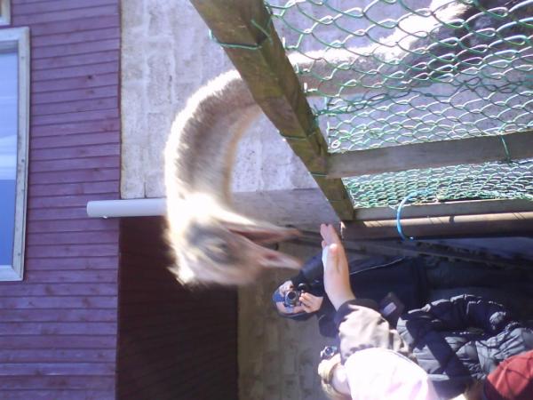 DSC00008.JPG
