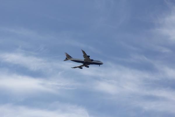 IMG_7184.jpg