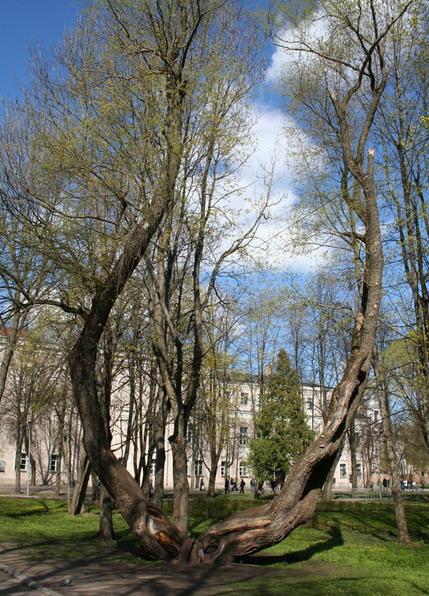 НовгородМай2007_039_1.jpg