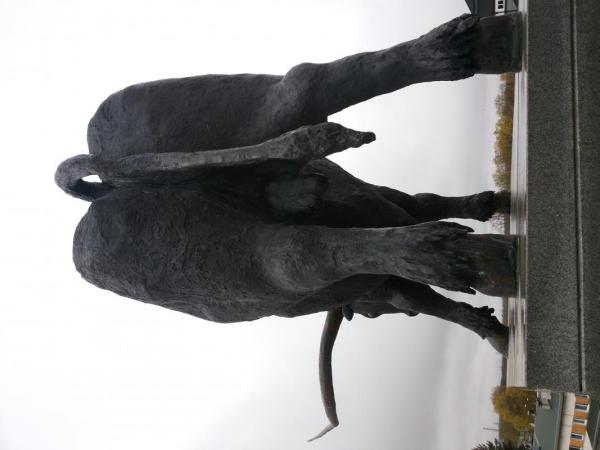 20140505_170328.jpg