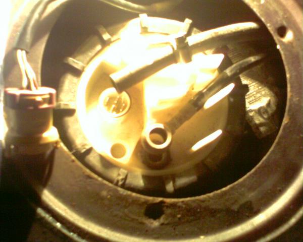 20070604_142859.jpg