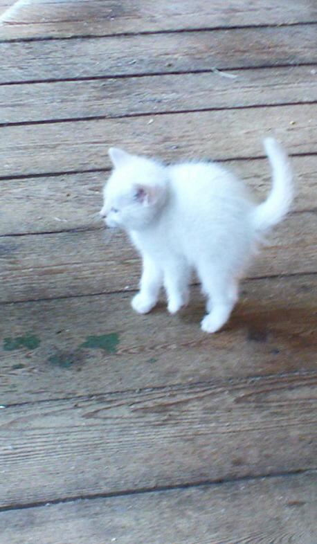 0_DSC00071.jpg