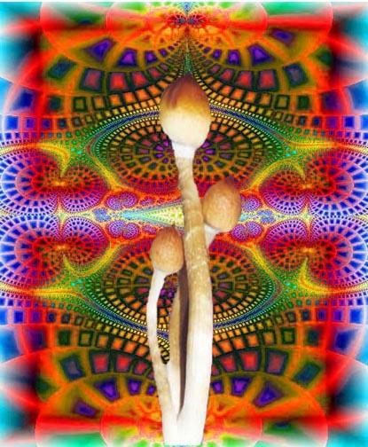 shroommosaic2.jpg