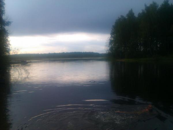 IMAG0128.jpg