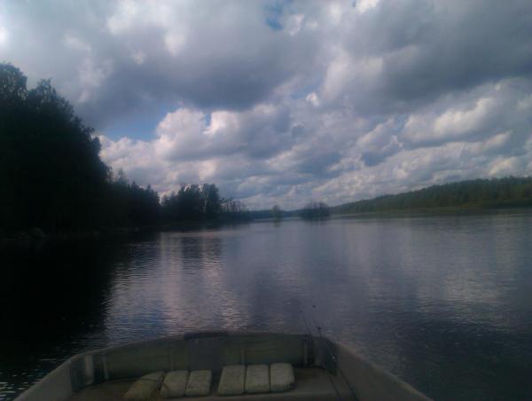 IMAG0129.jpg