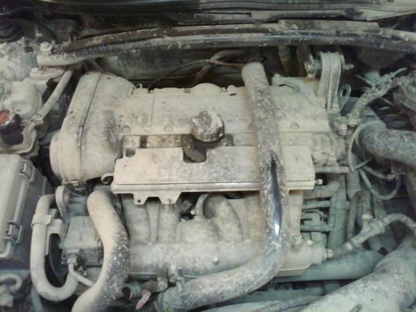 IMG0039A.jpg
