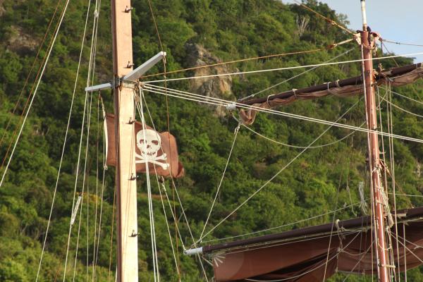 pirate_flag.jpg