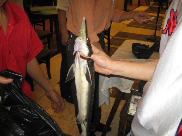 IMG_2307.JPG
