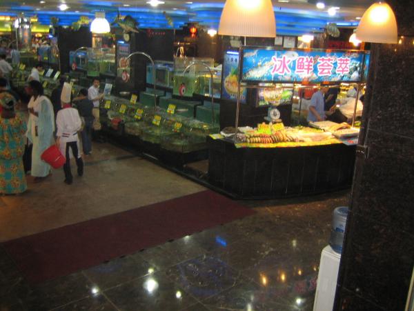 IMG_2418n.jpg