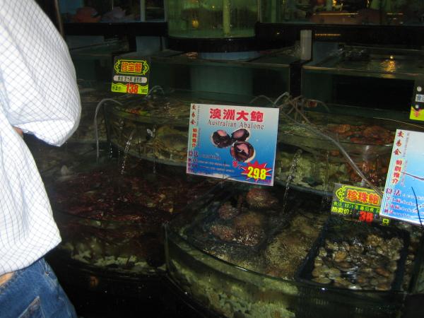 IMG_2417.JPG